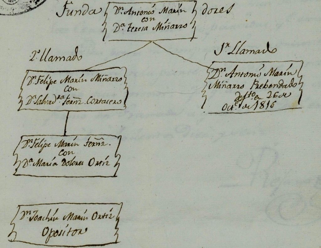 Árbol Marin-Miñarro